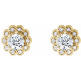 14K Yellow 5/8 CTW Diamond Halo-Style Earrings - 86663606P photo 2