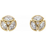 14K Yellow 1/2 CTW Diamond Earrings - 86445601P photo 2